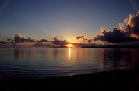 ���w����1���̃X�P�W���[���́H