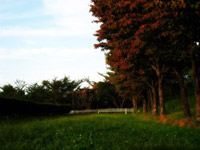 ���̑��̃X�|�[�c����������