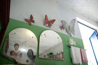 1�N�قǂ��ő�