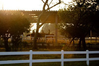 �X�|�[�c�A�J�f�~�[���[��