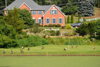 �S���t�̃X�|�[�c���w