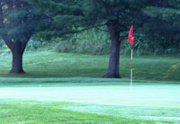 �S���t�A�J�f�~�[�����E���ɂ���