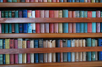 �X�|�[�c���w�ԂȂ�A�����J��