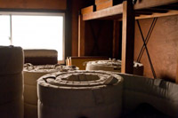 ���@��ړI���ŗD�悵�A���̓��@��ړI������Ȃ��I�����͐؂�̂Ă�