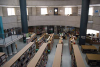 �e�A�J�f�~�[�ł��{�i�I�ȃR�[�X�ɂȂ�ƌ�w�͕͂K�{